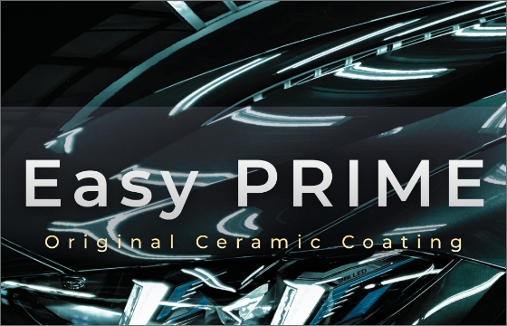 Easy PRIME X1 / X2